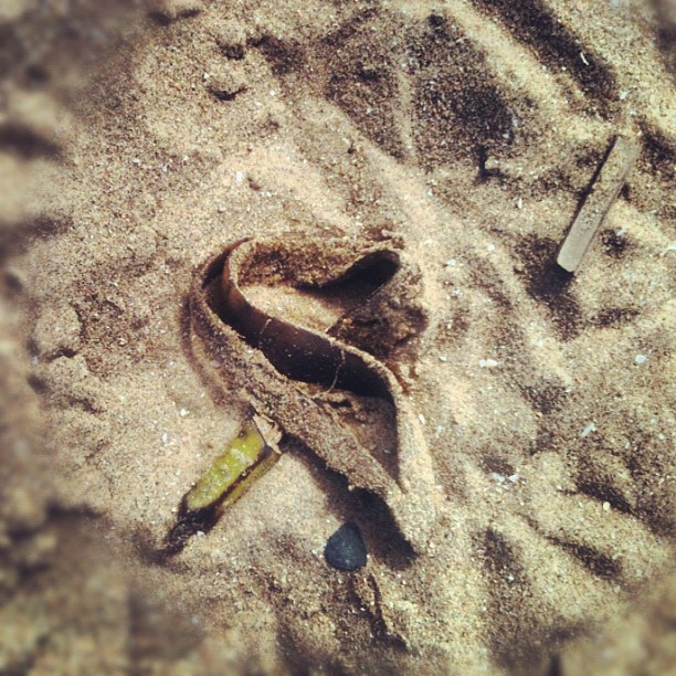 Banana and lolly sticks